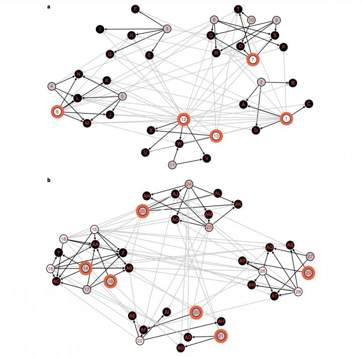 Sociograms for Treatment and Control Operating Units within the North America Region of the Nature C