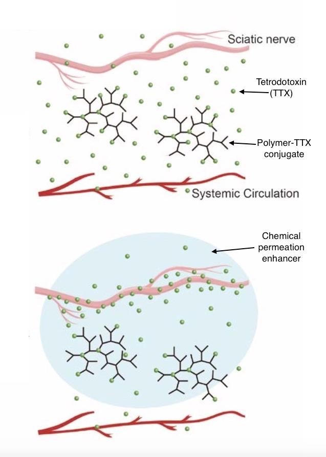 Packaging Tetrodotoxin