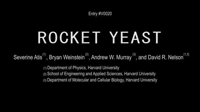 Rocket Yeast