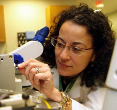 Better Understanding of Blood Vessel Constrictor Needed to Harness its Power for Patients (2 of 2)