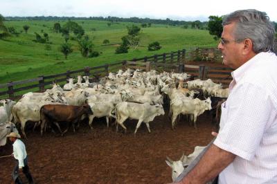 A Cattle Rancher in Acre, Brazil, Looks out Over His Herd