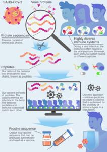 Functional principle of the HOGVAX tool