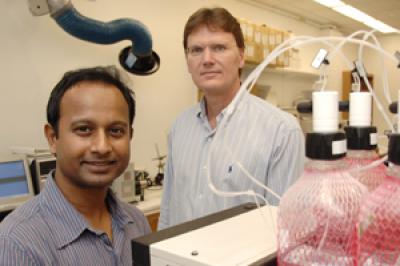 Drs. Sikder and Kodadek