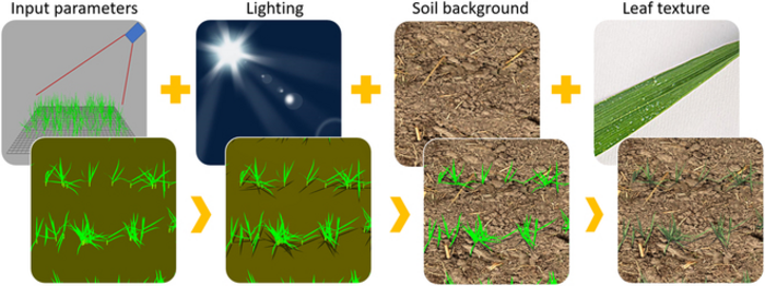 Fig. 1. Simulating field wheat images with D3P.