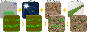 Fig. 1. Simulating field wheat images with D3P.