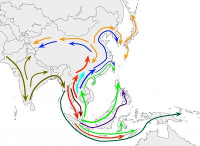 Genetic Diversity Map Across Asia Shows Shared History