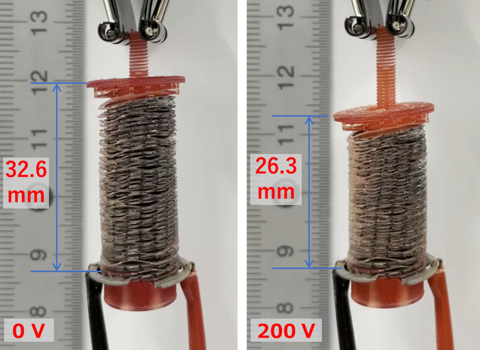 Figure 2. The 3D-printed double-helical coil electrode with ferroelectric liquid crystals