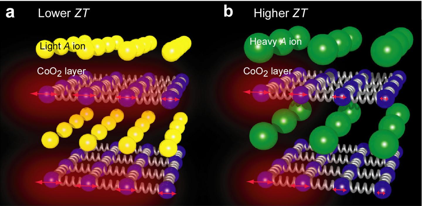 Hypothesis for the <em>ZT</em> Improvement of Layered Cobalt Oxide