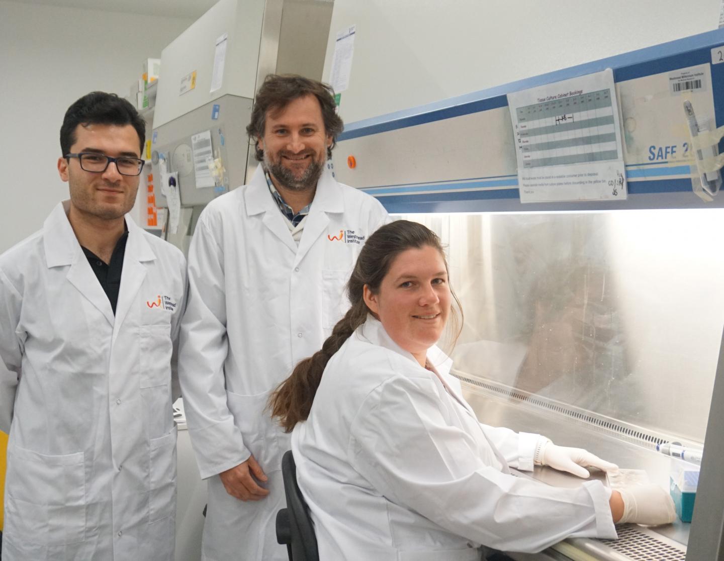 Members of the Fesearch Geam