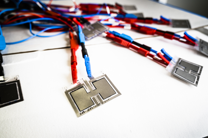 Xavier Crispin battery with two cells