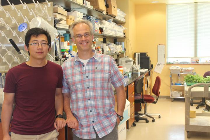 Chenming Cui and David Haak in the lab