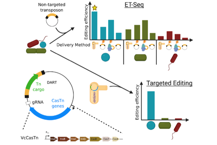 Graphical explanation of ET-seq and DART