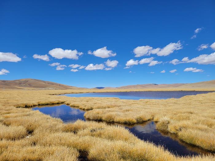 The typical wetland in the Qinghai-Tibet Plateau