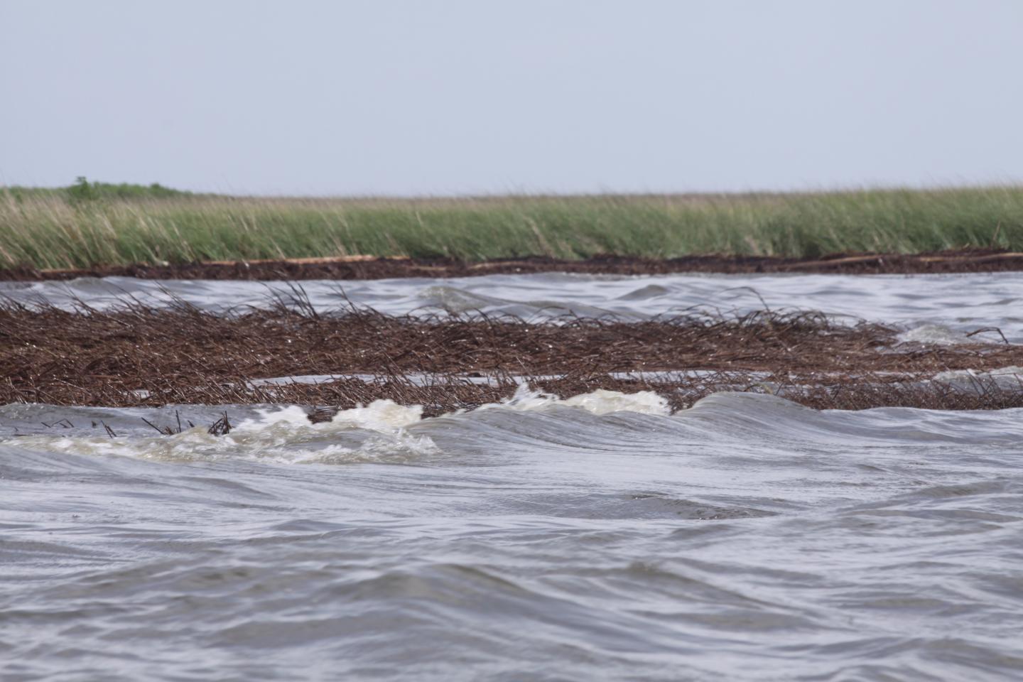Eroded Marsh After Oil Spill