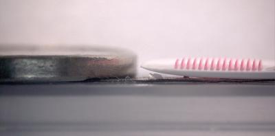 Microneedle Size Comparison