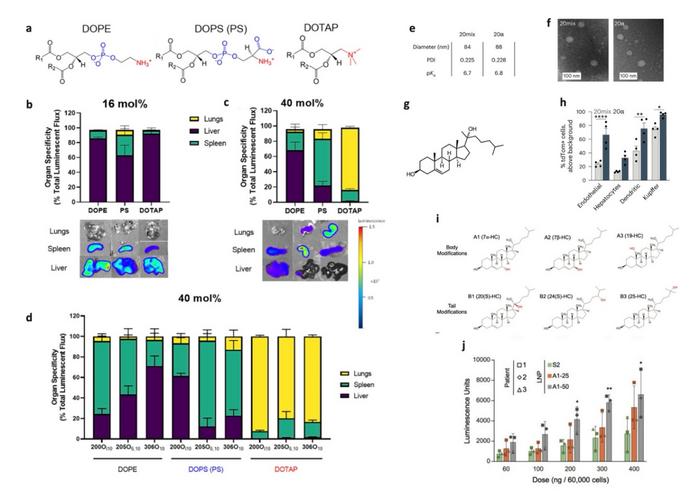 Fig. 4 The effect of phosphate lipids (a-d) and cholesterol (e-j) on LNP-mRNA targeting and delivery efficacy.