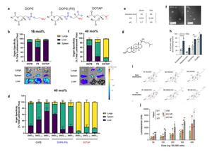 Fig. 4 The effect of phosphate lipids (a-d) and cholesterol (e-j) on LNP-mRNA targeting and delivery efficacy.