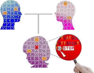 Uncovering Clues to the Genetic Cause of Schizophrenia