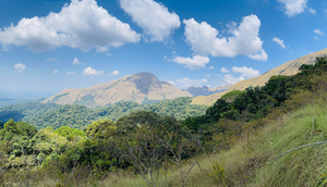 Mount Nimba Strict Nature Reserve