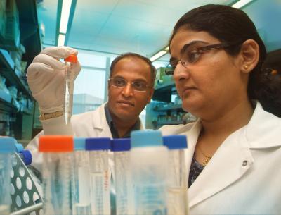 Dr. Anil G. Cashikar, Juhi Ojha, Georgia Health Sciences University 
