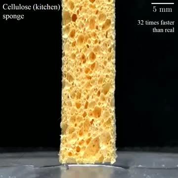 Poro-Elasto-Capillary Wicking of Cellulose Sponges (1 of 2)