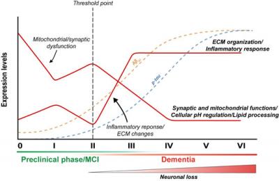 Scientists Discover New Brain Changes in Early Alzheimer's Disease