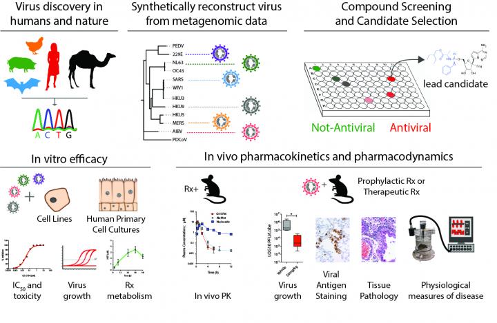 Can a Broadly Potent Antiviral Therapy Take Down SARS and MERS? (2 of 2)