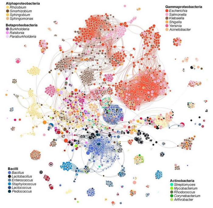 Unlocking the Passcodes to Manipulate Natural Bacterial Communities