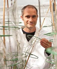 Brande Wulff, John Innes Centre