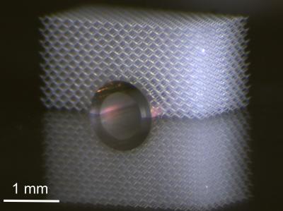Mechanical Invisibility Cloak: Metamaterials Protect Objects on the Lower Side from Touching