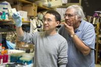 Salk Researchers Yifeng Xia and Inder Verma