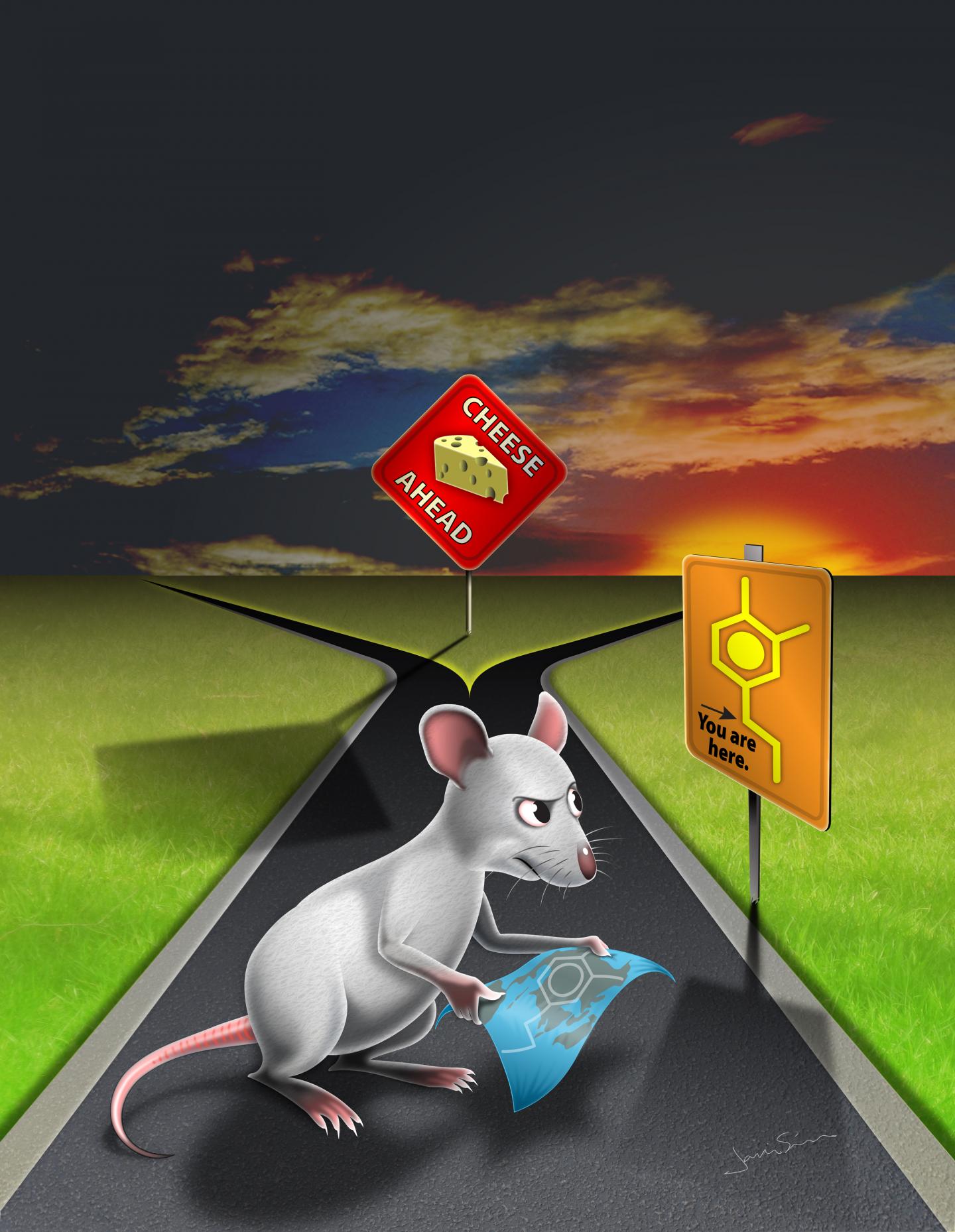 Salk Researchers Learn How Dopamine Governs Ongoing Decisions, Yielding Insights into Parkinson's, D