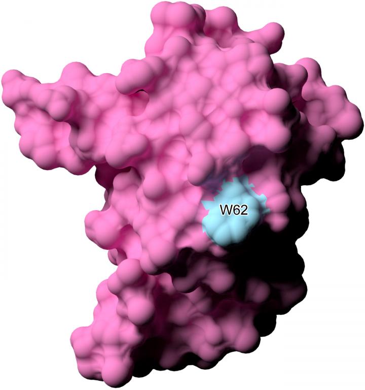 Figure 2: The Crystal Structure of JUNO