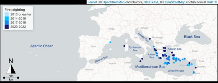 Map of years of first sighting of Pterois miles.