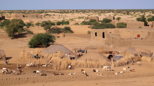Sahel village