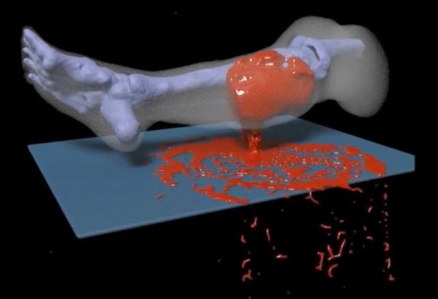 Leg Bleeding Simulator