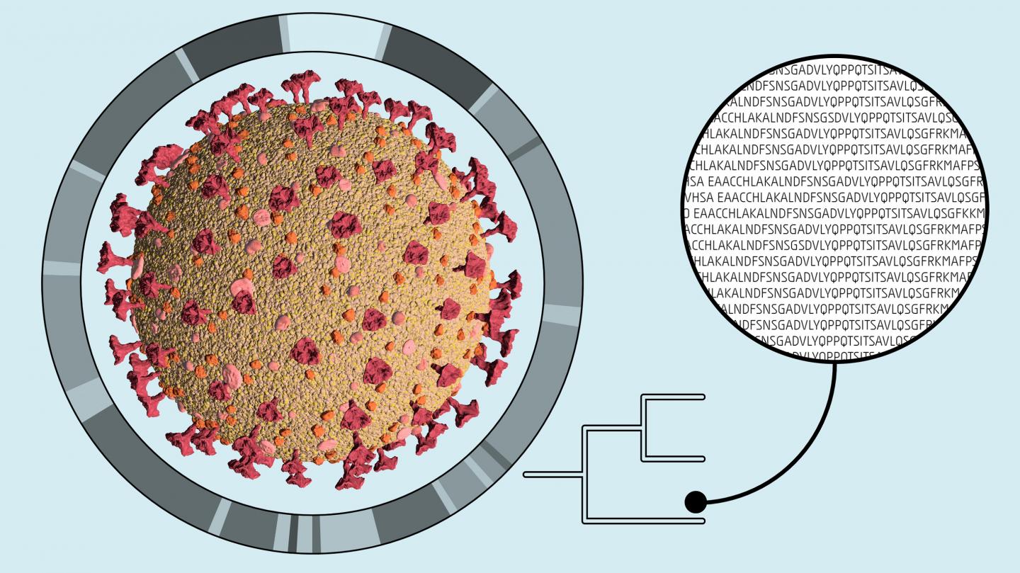 SARS-CoV-2 Sequencing