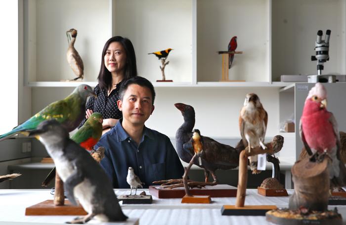 Dr Jacqueline Nguyen + Professor Simon Ho with Australian Museum bird specimens