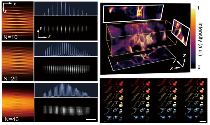 A New Form of Light-Sheet Imaging, Coined CLAM, Which Allows Scan-Free, Parallelized 3D Fluorescence