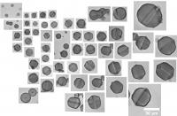 Collage of Liquid Crystal Gemstones