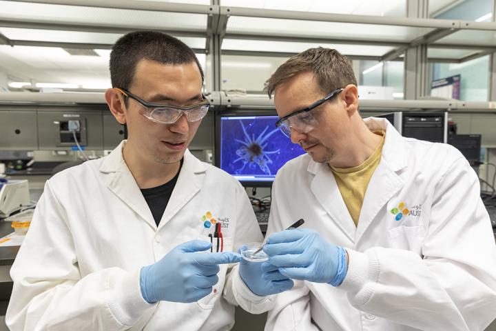 Cui and Aranda Discuss Their Study Organism