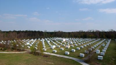 The KASCADE-Grande Measurement