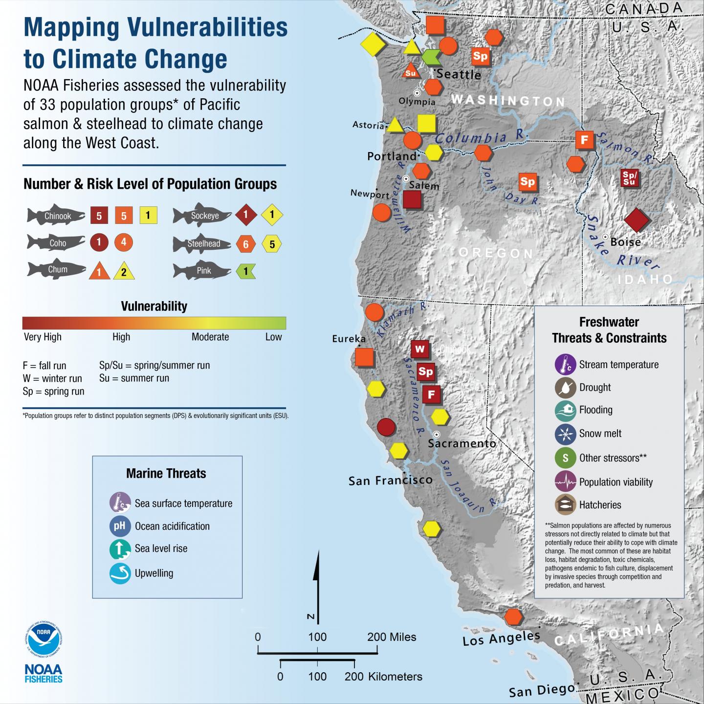 Some Pacific Salmon Populations Are Especially at Risk from Climate Change