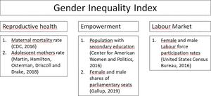 Unveiling gender inequality in the US: Testing validity of a state-level measure of gender inequality and its relationship with feminist online collective action on Twitter