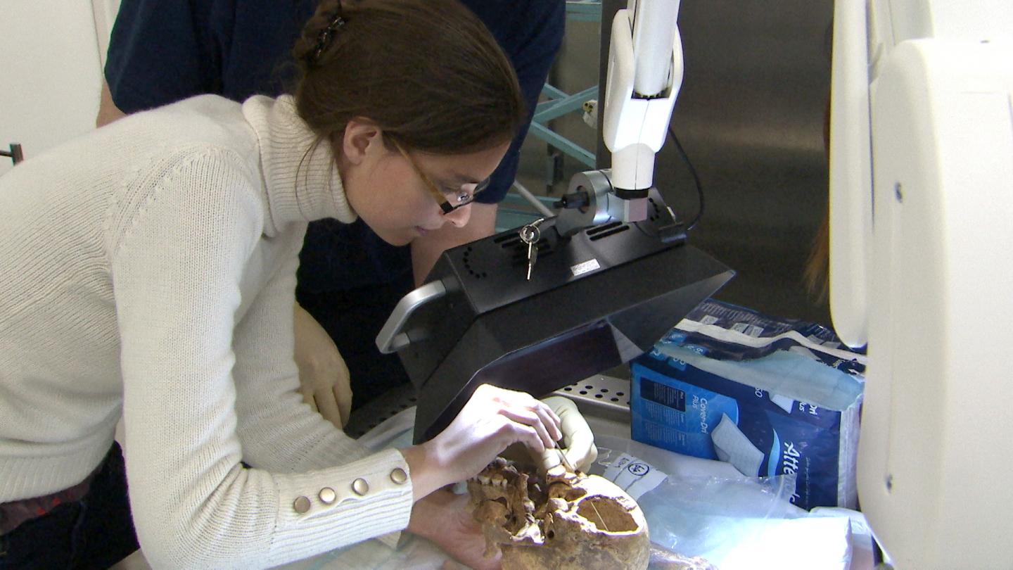 Potential 'Killer Blow' to King Richard III