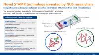 Novel STAMP Technology Invented by NUS Researchers (2 of 2)