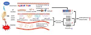 Roles of Chlorogenic acid in Regulating Growth Performance and Immune Function of Broilers