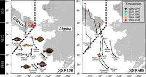 Trajectories of the abundance-weighted center of gravity (COG) for eight commercial species