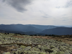 Lichen-covered rocks