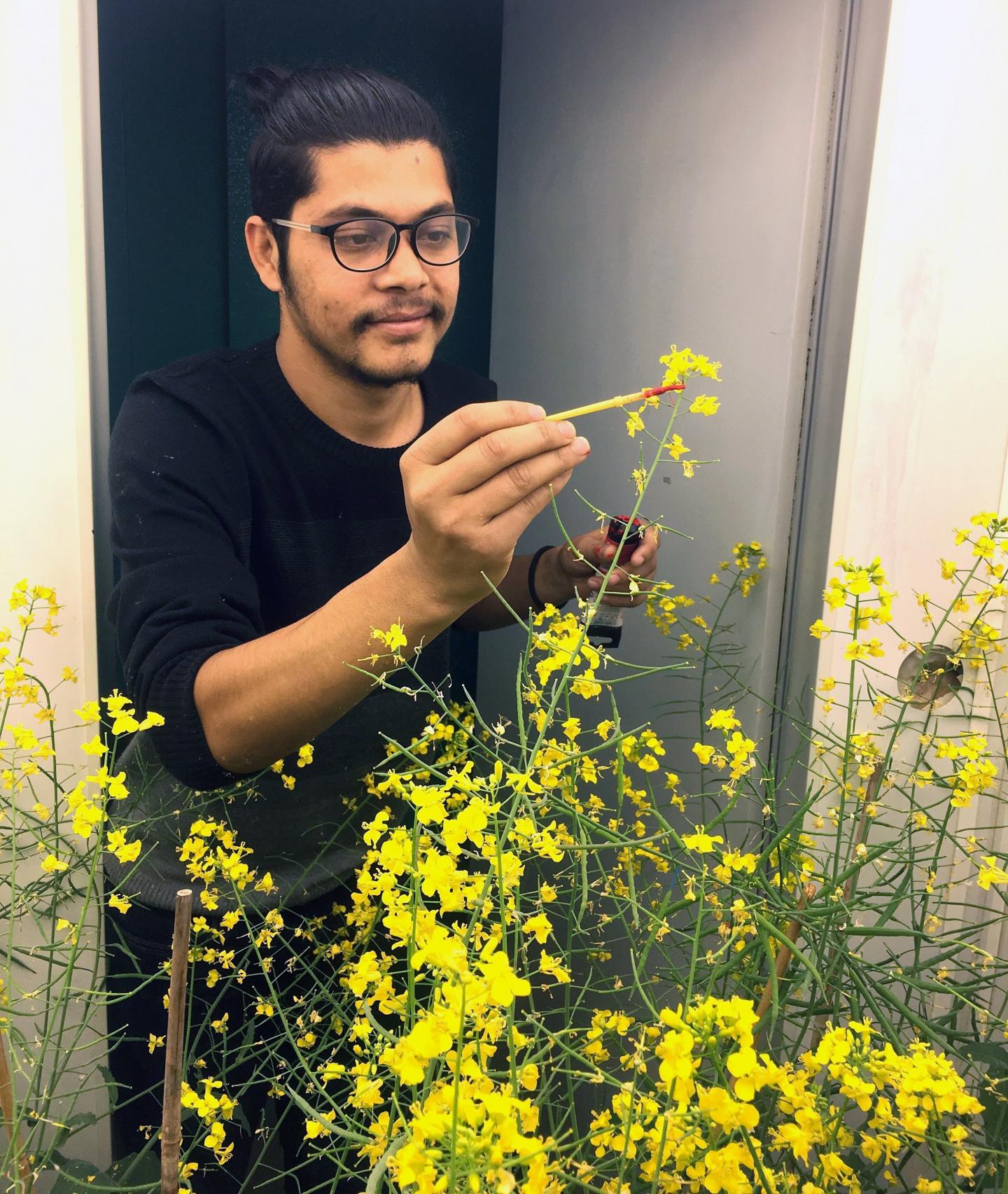 Meghnath Pokharel, Kansas State University